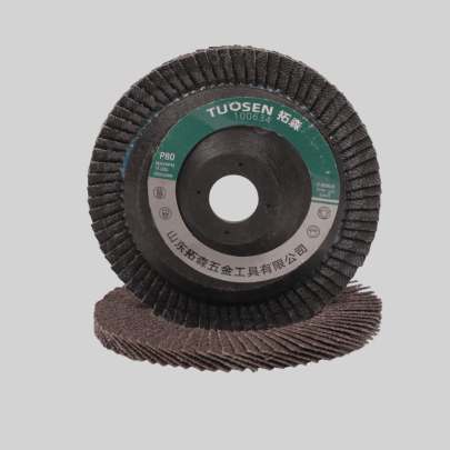 FLAP DISC HANDTOOLS